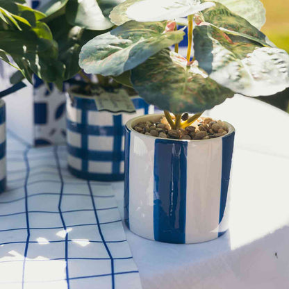 Artificial Plant in Ceramic Pot Blue White Φ8x17