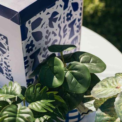 Artificial Plant in Ceramic Pot Blue White Φ8x17