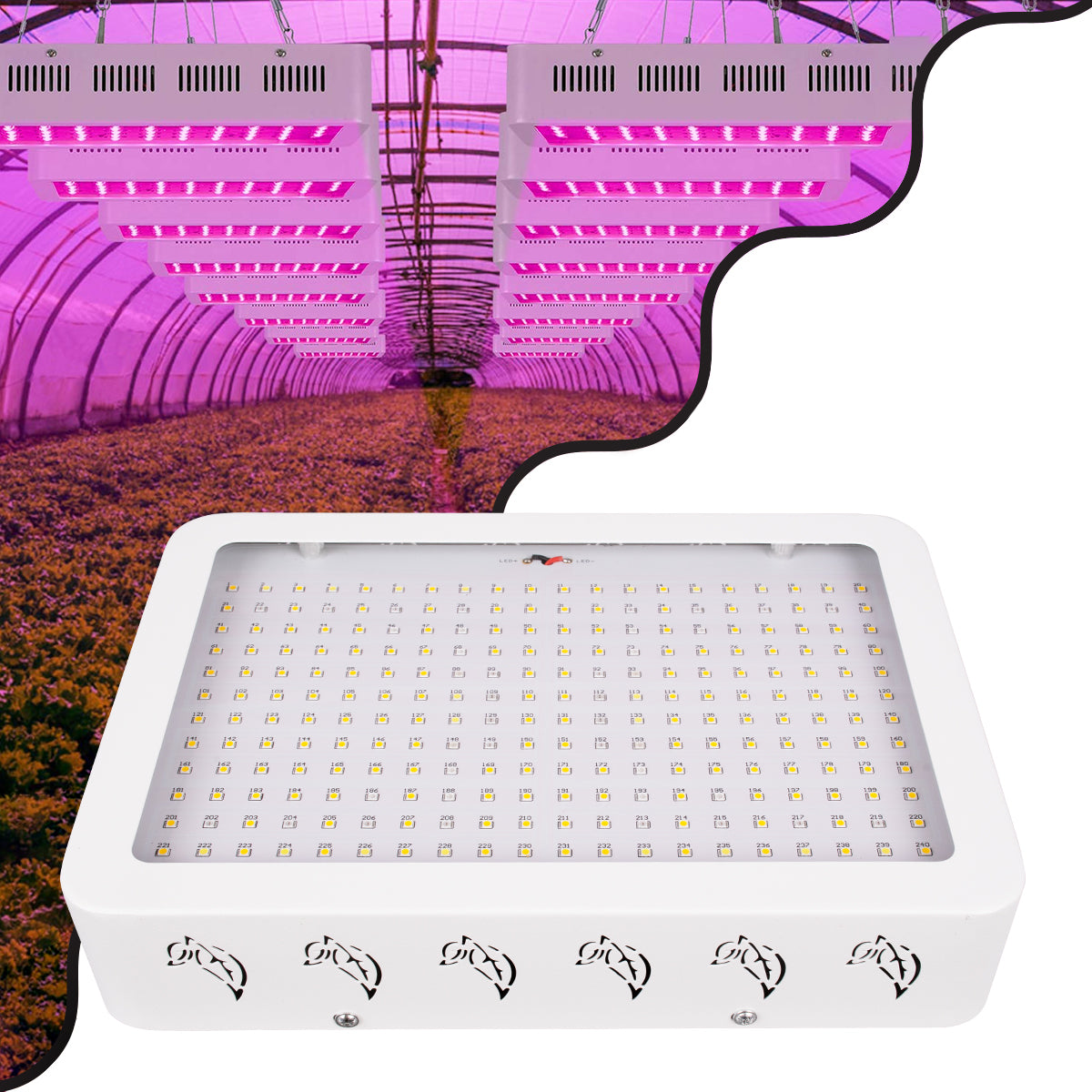 85952 Grow Light Full Spectrum LED Φωτιστικό Ανάπτυξης Φυτών Θερμοκηπίου SMD 2835 174W 160° AC230V IP54 Εσωτερικού Χώρου για Κάλυψη Επιφάνειας 3m x 3m Πλήρους Φάσματος Φωτισμού