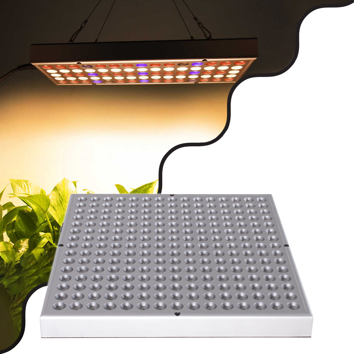 85955 Grow Light Panel Hydro Spectrum LED Φωτιστικό Ανάπτυξης Φυτών Υδροπονικού Θερμοκηπίου SMD 2835 100W 160° AC230V IP54 Εσωτερικού Χώρου για Κάλυψη Επιφάνειας 1m x 1m