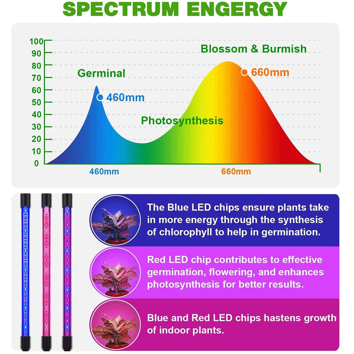 85956 Grow Light Full Spectrum LED Φωτιστικό Ανάπτυξης Φυτών Γλάστρας με 4 Κινούμενες Κεφαλές & Τρίποδο 150cm SMD 2835 20W 180° AC230V IP20 με Dimmer & Timer Εσωτερικού Χώρου για Κάλυψη Επιφάνειας 1m x 1m Πλήρους Φάσματος Φωτισμού