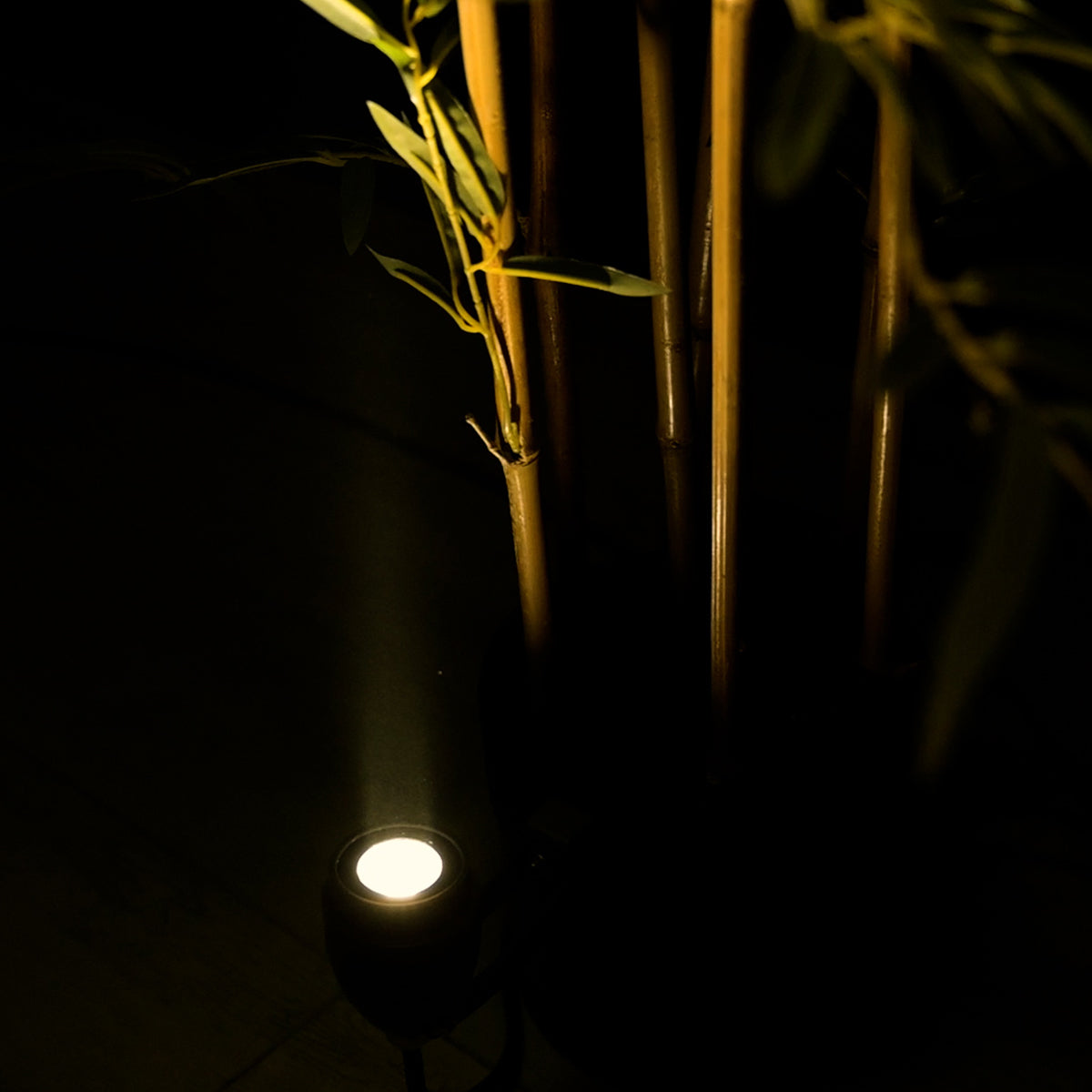 TREELIGHT-TREEGAL 90461 Σποτ Φωτισμού για Φυτά - Δέντρα με Βάση Μπετού & Κορμού LED 3W 330lm 15° DC 24V Αδιάβροχο IP65 Θερμό Λευκό 2700K Dimmable - Γκρι Ανθρακί - Μ5 x Π5 x Υ14.7