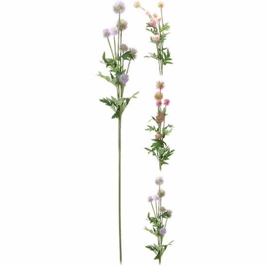 Κλαδί Ταραξάκο 3 Σχδ 89εκ