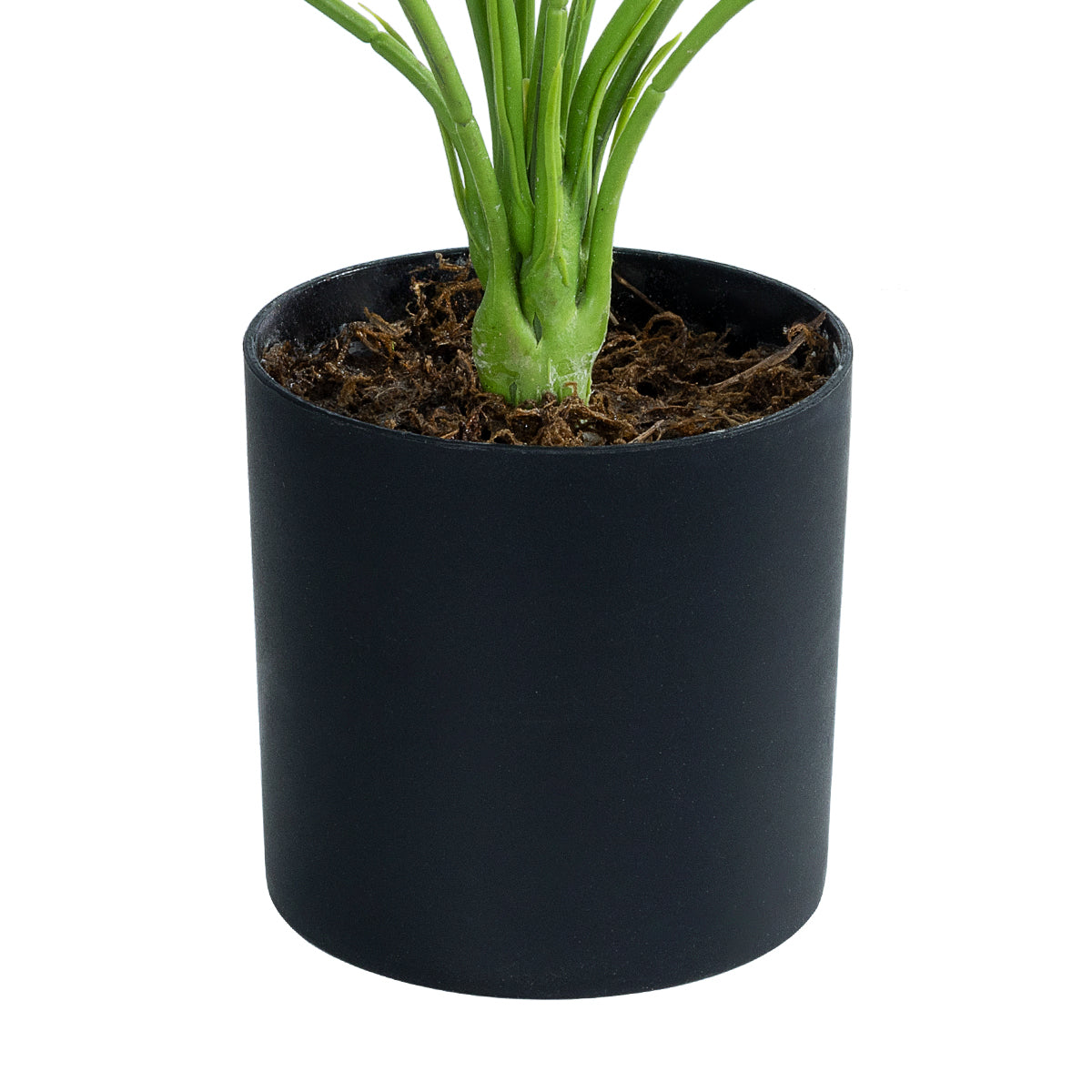 BANANA PLANT ZEBRA 20929 Διακοσμητικό Φυτό Μπανανιά Ζέβρα Φ70 x Υ55cm