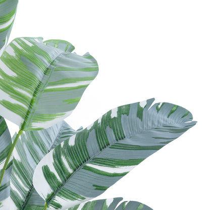 BANANA PLANT ZEBRA 20930 Διακοσμητικό Φυτό Μπανανιά Ζέβρα Φ70 x Υ55cm