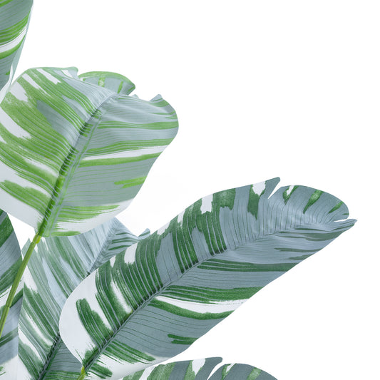 BANANA PLANT ZEBRA 20930 Διακοσμητικό Φυτό Μπανανιά Ζέβρα Φ70 x Υ55cm