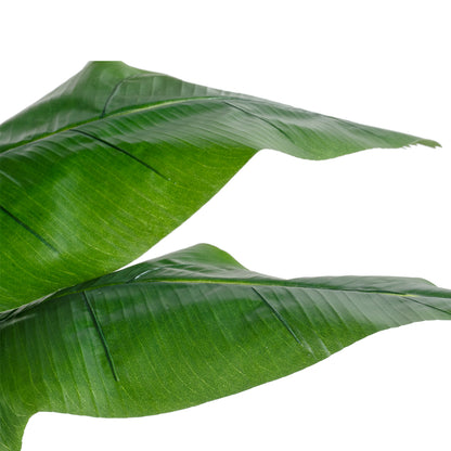 BANANA STRELITZIA REGINAE 20381 Τεχνητό Διακοσμητικό Φυτό Μπανανιά - Στρελίτσια - Πουλί του Παραδείσου Υ230cm
