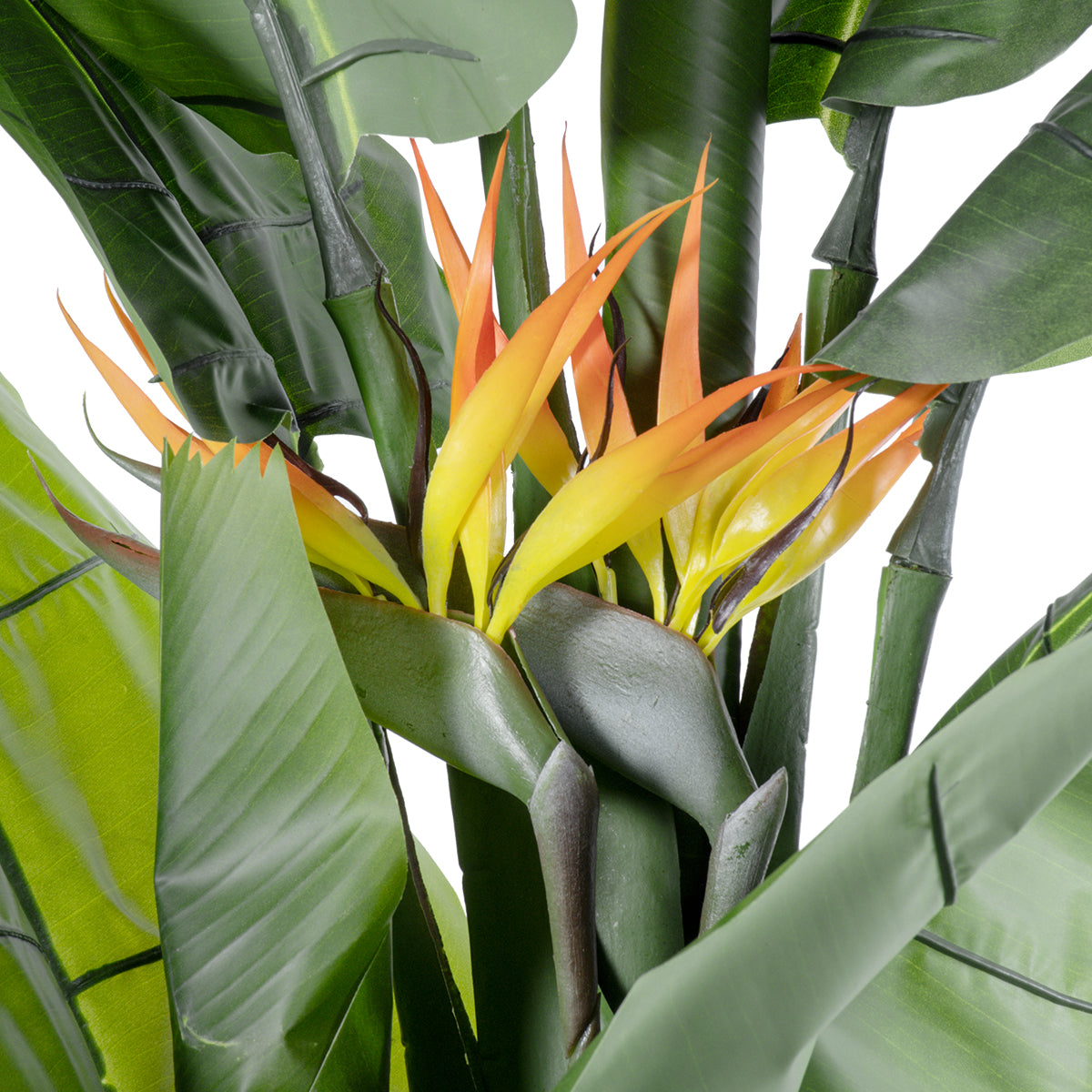 BANANA STRELITZIA REGINAE 20381 Τεχνητό Διακοσμητικό Φυτό Μπανανιά - Στρελίτσια - Πουλί του Παραδείσου Υ230cm