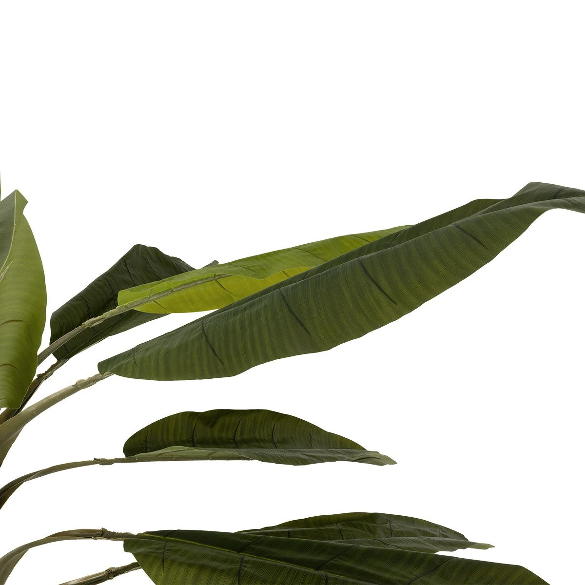 BANANA TREE 21501 Τεχνητό Διακοσμητικό Δέντρο Μπανανιάς Υ400cm