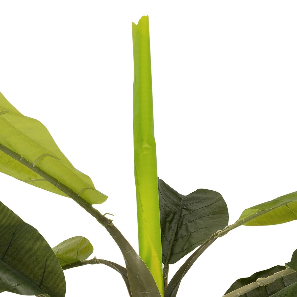 BANANA TREE 21502 Τεχνητό Διακοσμητικό Δέντρο Μπανανιάς Υ500cm