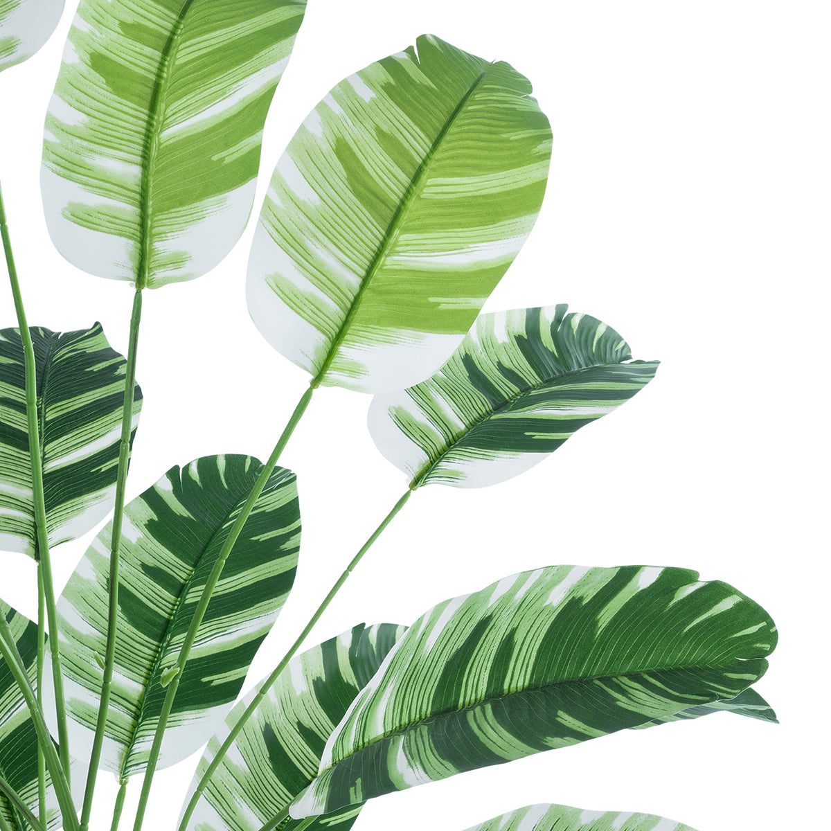 BANANA ZEBRA PLANT 20918 Διακοσμητικό Φυτό Μπανανιά Ζέβρα Φ83 x Υ80cm