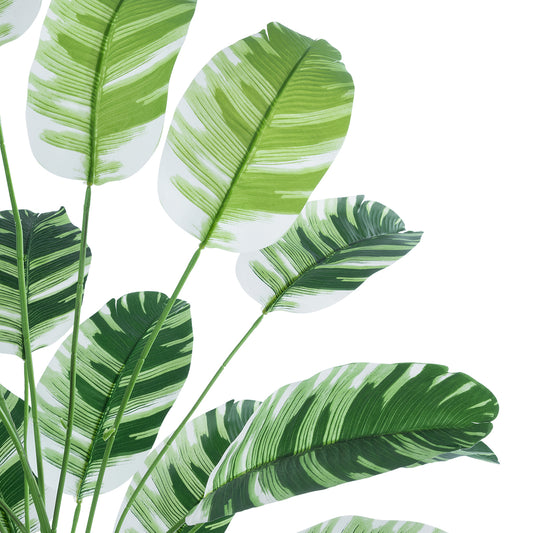 BANANA ZEBRA PLANT 20918 Διακοσμητικό Φυτό Μπανανιά Ζέβρα Φ83 x Υ80cm