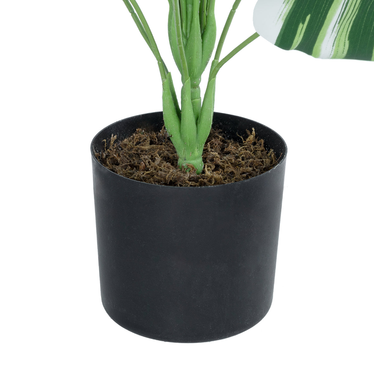 BANANA ZEBRA PLANT 20918 Διακοσμητικό Φυτό Μπανανιά Ζέβρα Φ83 x Υ80cm