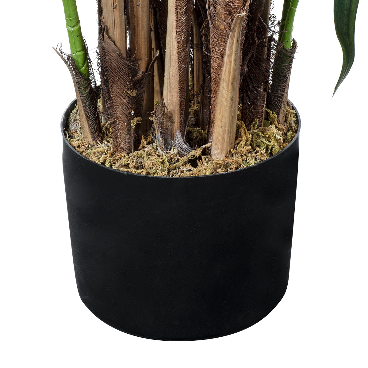BROADLEAF LADY PALM TREE 20384 Τεχνητό Διακοσμητικό Φυτό Πλατύφυλλος Φοίνικας Μπαμπού Υ300cm