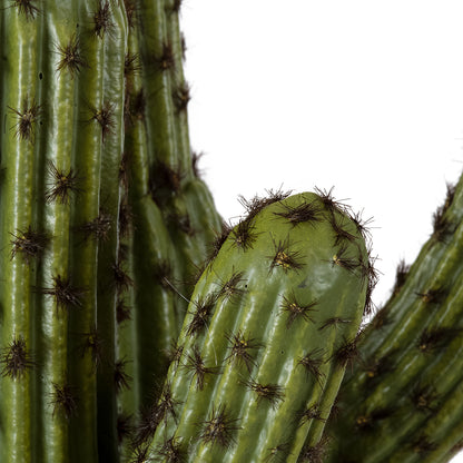 CARNEGIEA CACTUS 20100 Τεχνητό Διακοσμητικό Φυτό Κάκτος Σαγκουάρο Υ63cm