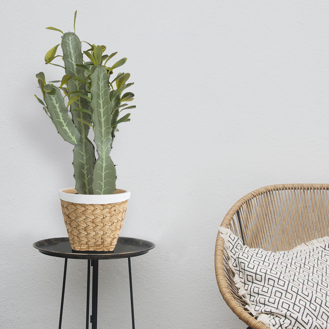 CEREUS JAMACARU CACTUS 20102 Τεχνητό Διακοσμητικό Φυτό Κάκτος Κηρίος Υ62cm
