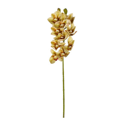CHAMPAGNE CYMBIDIUM BRANCH 21408 Τεχνητό Διακοσμητικό Κλαδί Σαμπανί Κυμβίδιο Y75cm