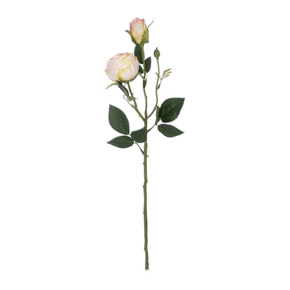 CHAMPAGNE DAMASK CLIMBING ROSE BRANCH 21198 Τεχνητό Διακοσμητικό Κλαδί Τριαντάφυλλο Σαμπανιζέ Y55cm