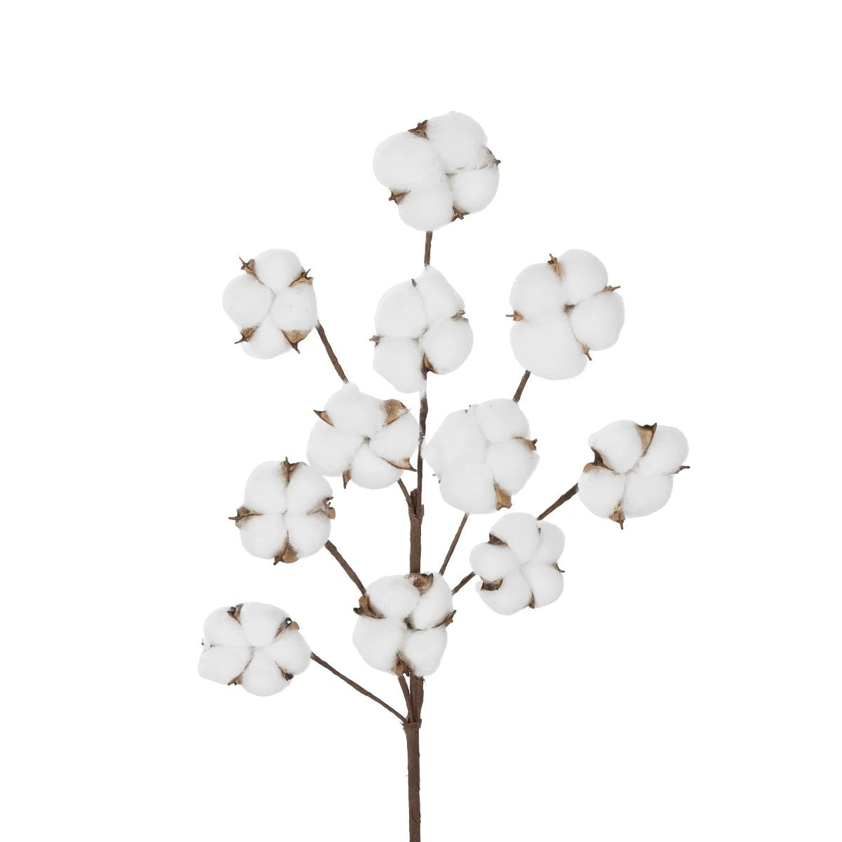 COTTON BRANCH 20569 Τεχνητό Διακοσμητικό Κλαδί Βαμβάκι Μ30 x Π6 x Υ80