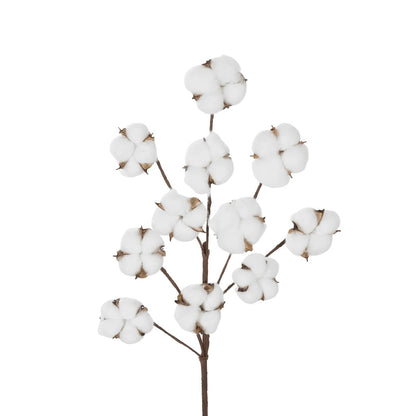 COTTON BRANCH 20569 Τεχνητό Διακοσμητικό Κλαδί Βαμβάκι Μ30 x Π6 x Υ80