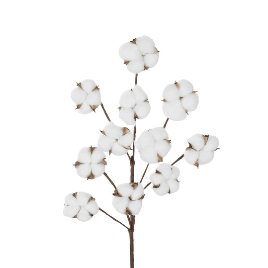 COTTON BRANCH 20569 Τεχνητό Διακοσμητικό Κλαδί Βαμβάκι Μ30 x Π6 x Υ80