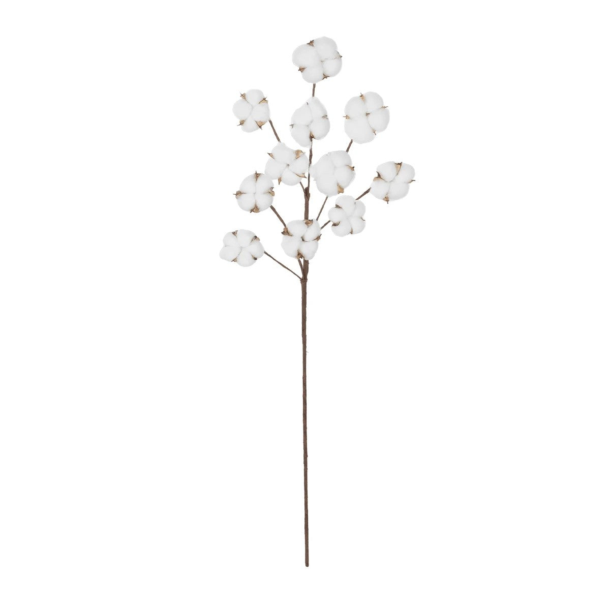 COTTON BRANCH 20569 Τεχνητό Διακοσμητικό Κλαδί Βαμβάκι Μ30 x Π6 x Υ80