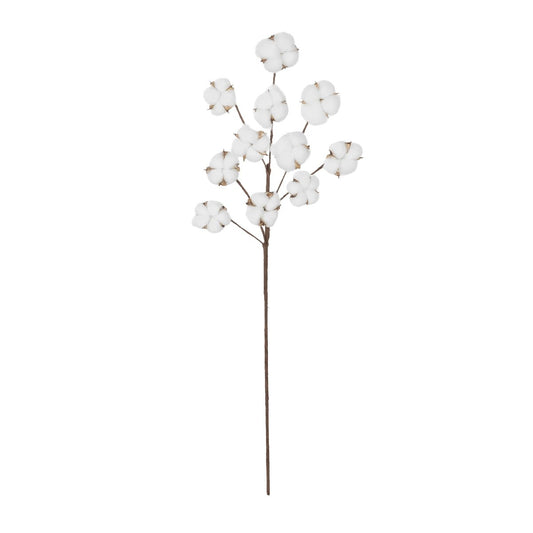 COTTON BRANCH 20569 Τεχνητό Διακοσμητικό Κλαδί Βαμβάκι Μ30 x Π6 x Υ80