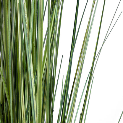 CRASPEDIA GRASS 20112 Τεχνητό Διακοσμητικό Φυτό Κρασπέδια Υ150cm