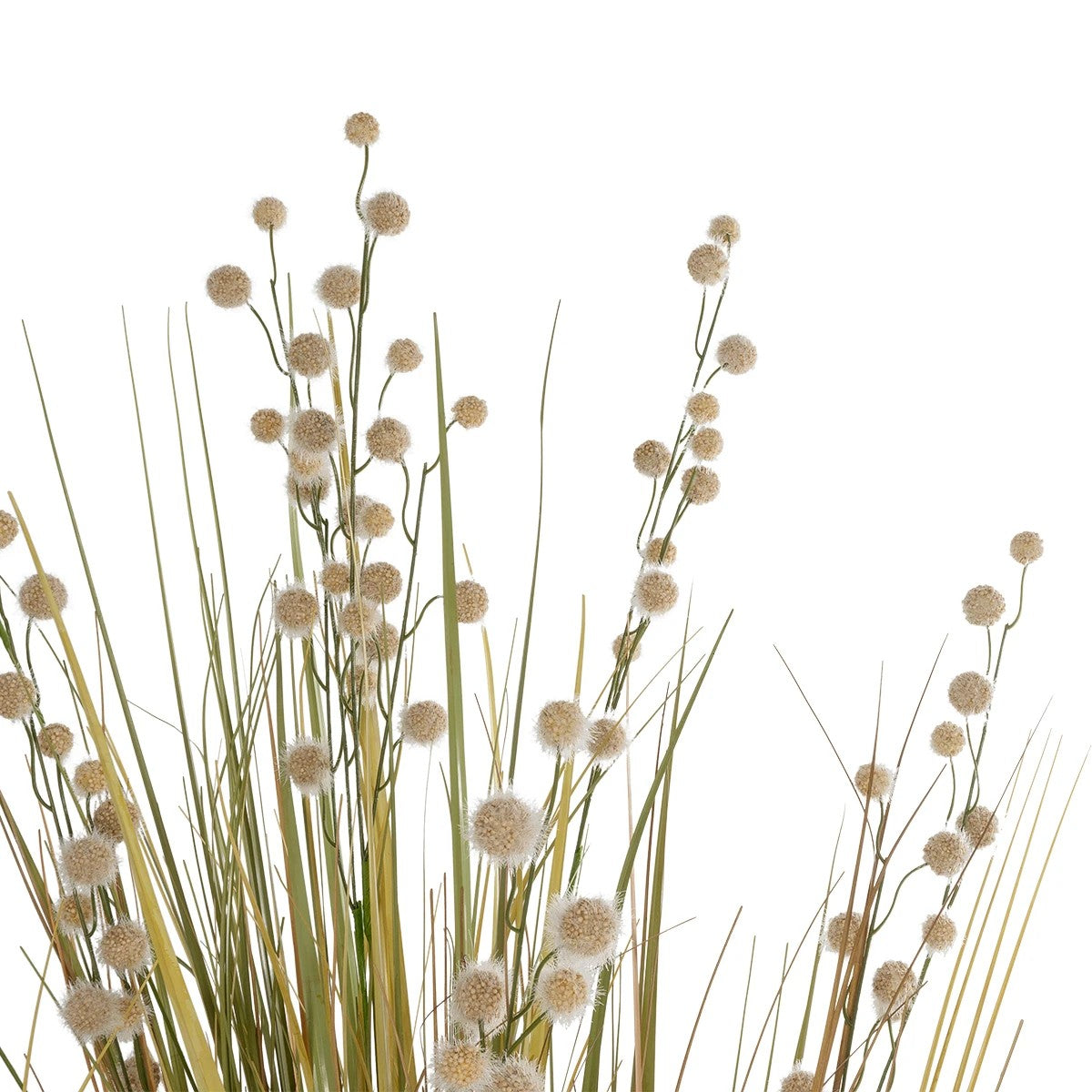 CRASPEDIA GRASS 21480 Τεχνητό Διακοσμητικό Φυτό Μπεζ & Πράσινο Κρασπέδια Μ90 x Π60 x Υ175