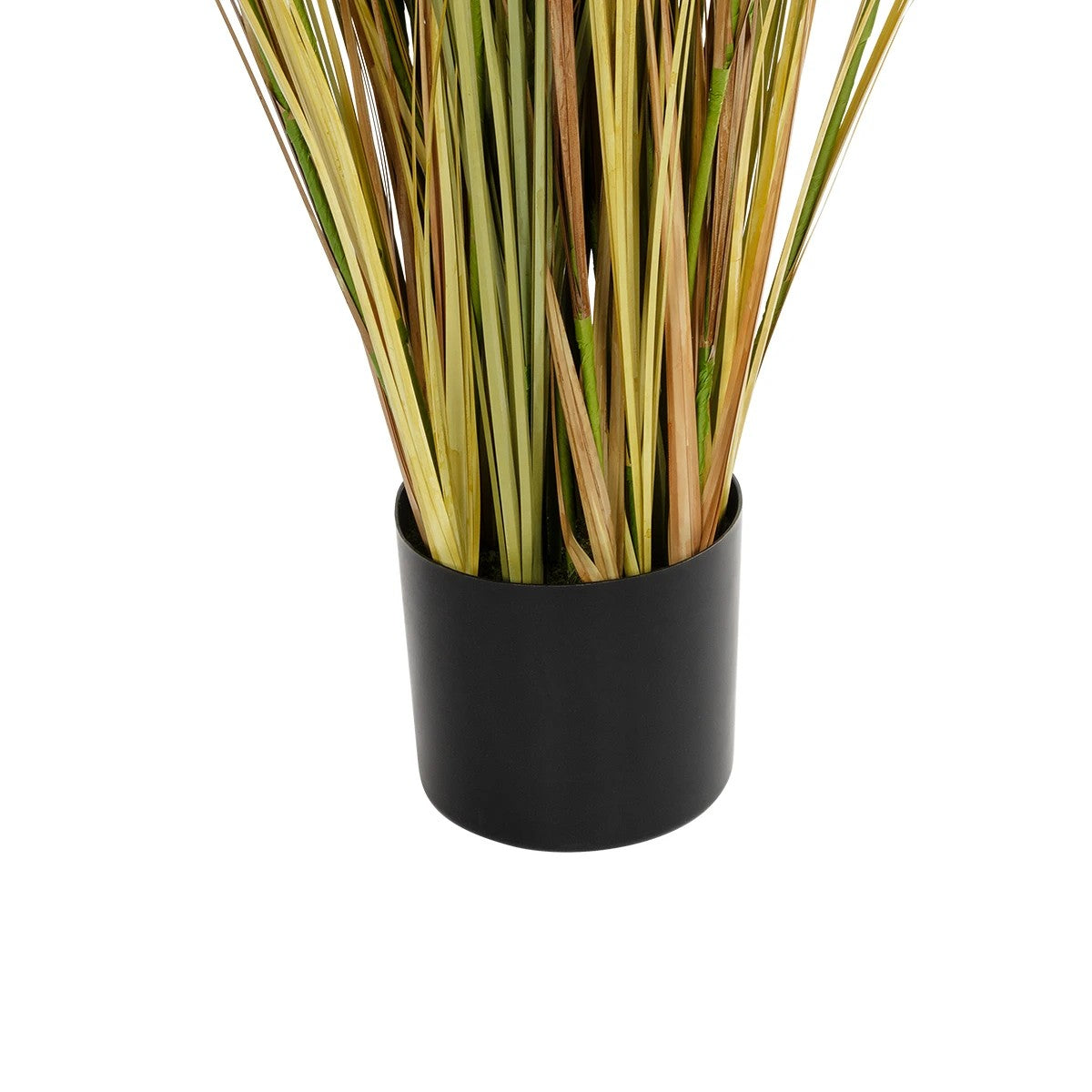 CRASPEDIA GRASS 21480 Τεχνητό Διακοσμητικό Φυτό Μπεζ & Πράσινο Κρασπέδια Μ90 x Π60 x Υ175