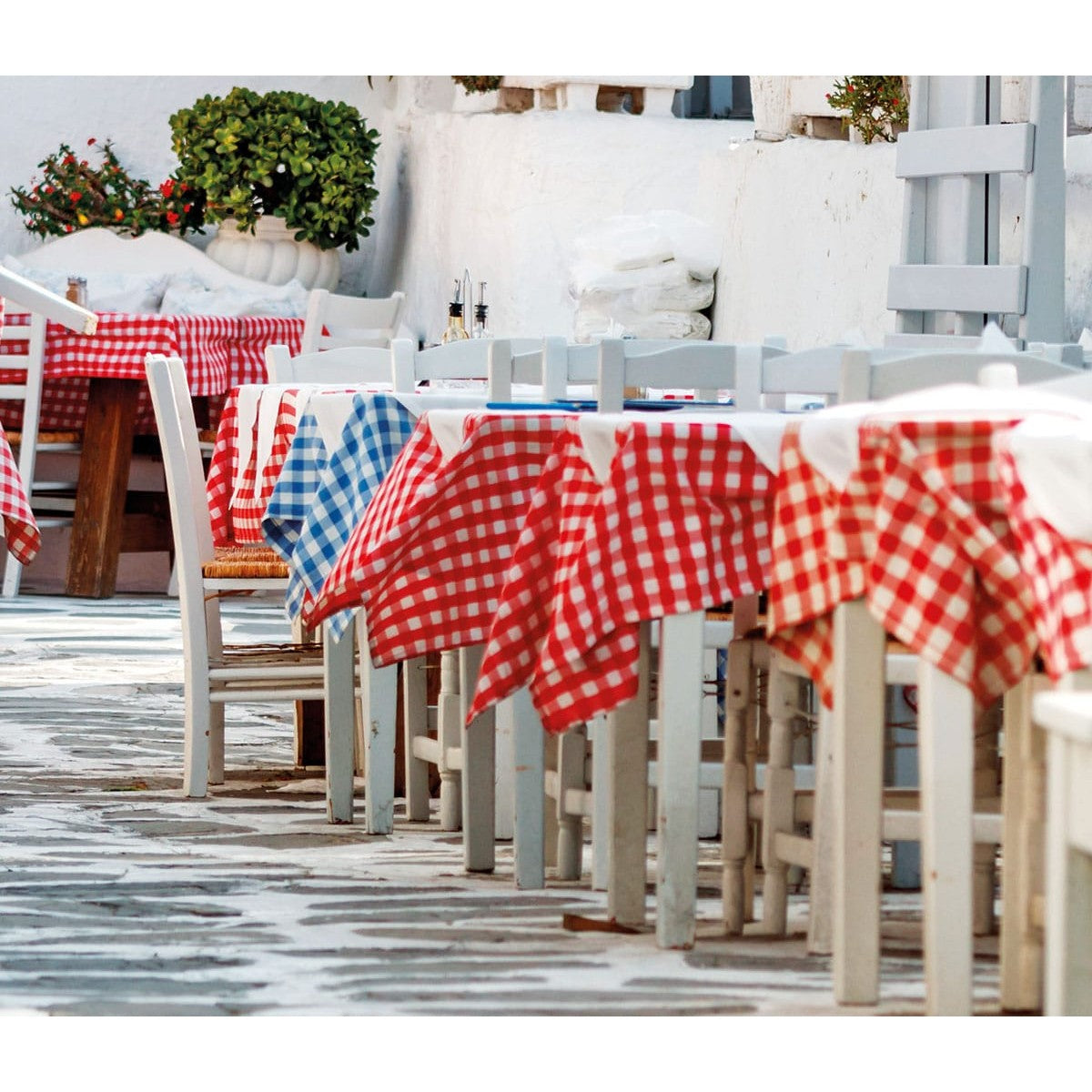 Επαγγελματικό Τραπεζομάντηλο Checks Art Ε8015 Πράσινο 145x180εκ