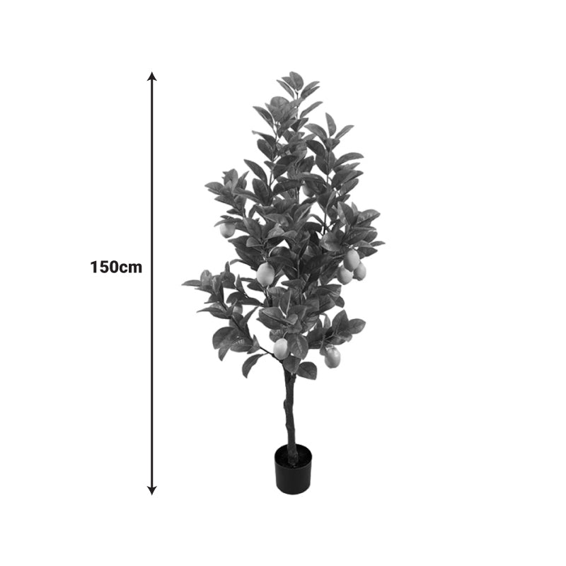 Διακοσμητικό Φυτό Lemon Tree σε Γλάστρα Πράσινο PP Υ150εκ