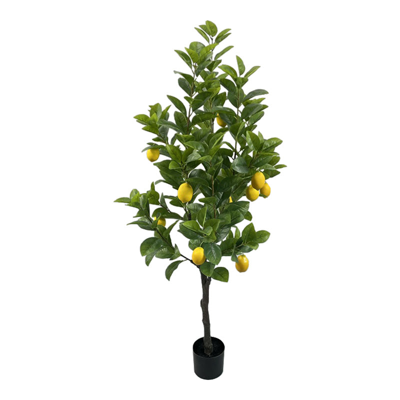 Διακοσμητικό Φυτό Lemon Tree σε Γλάστρα Πράσινο PP Υ150εκ