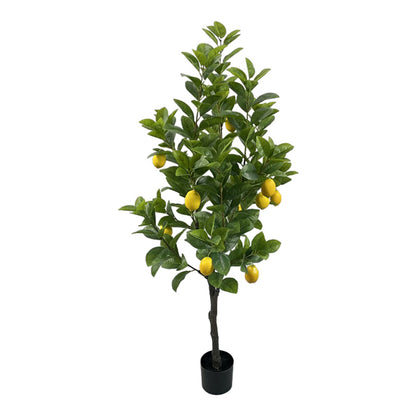 Διακοσμητικό Φυτό Lemon Tree σε Γλάστρα Πράσινο PP Υ150εκ