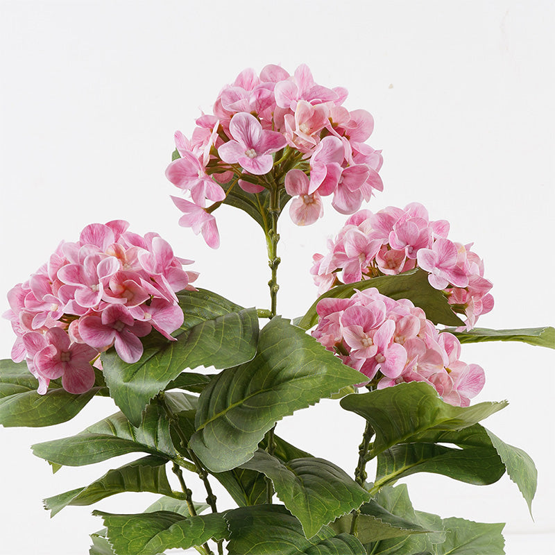 Διακοσμητικό Φυτό σε Γλάστρα Hydrangea Ροζ Φ35x50