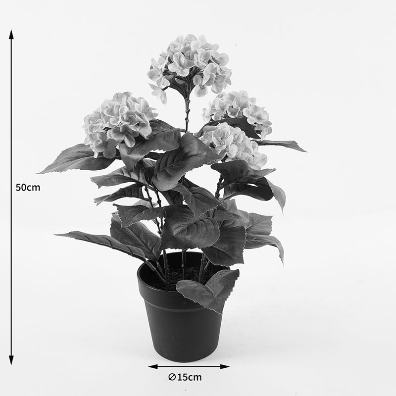 Διακοσμητικό Φυτό σε Γλάστρα Hydrangea Ροζ Φ35x50