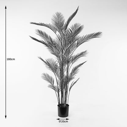 Διακοσμητικό Φυτό σε Γλάστρα Kwai Πράσινο Φ125x180