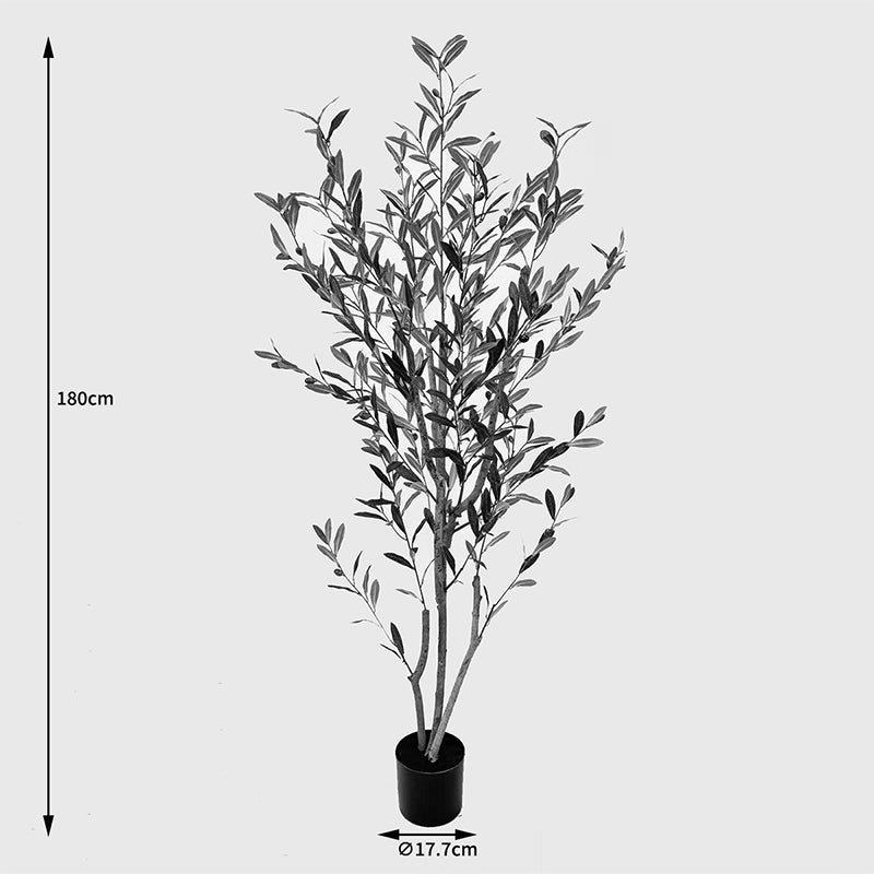 Διακοσμητικό Φυτό σε Γλάστρα Olia Πράσινο 65x55x180