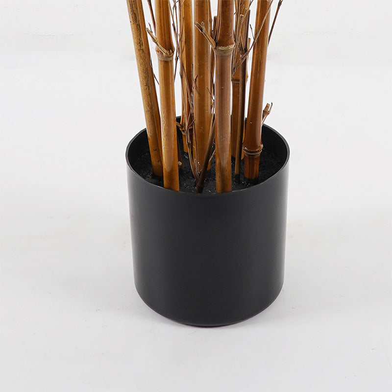 Διακοσμητικό Φυτό σε Γλάστρα Rhapis Palm Πράσινο Φ60x120