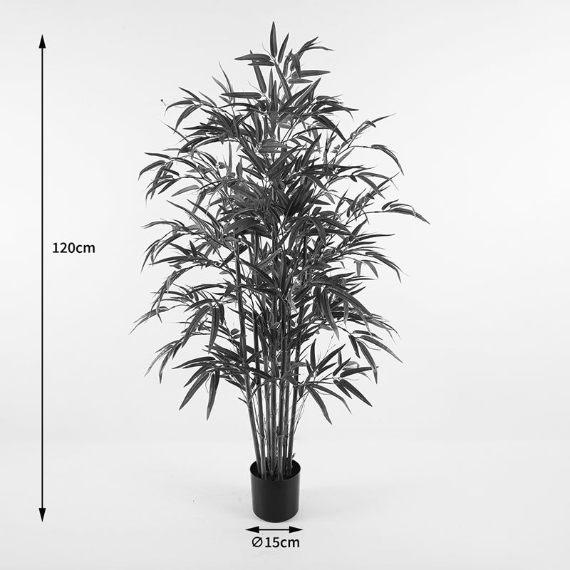 Διακοσμητικό Φυτό σε Γλάστρα Rhapis Palm Πράσινο Φ60x120