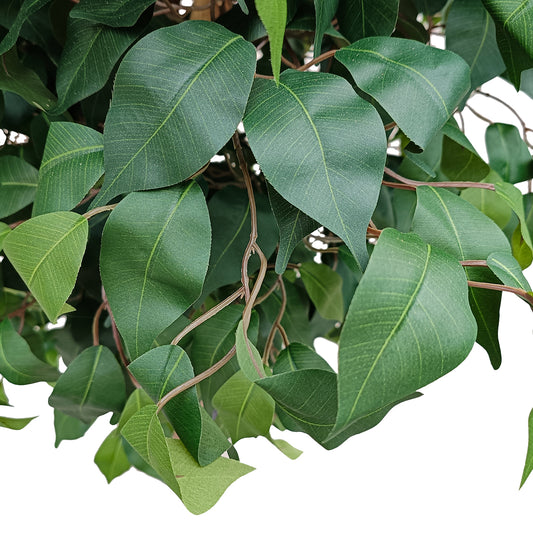 FICUS BENJAMINA TREE 20432 Τεχνητό Διακοσμητικό Φυτό Φίκος Μπενζαμίνη Υ300cm