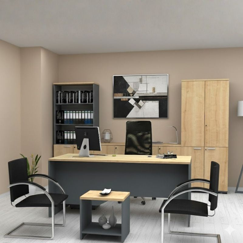 Ντουλάπα Γραφείου Επαγγελματική Venturo Χρώμα Ανθρακί - Φυσικό Οξιάς 80x40x200