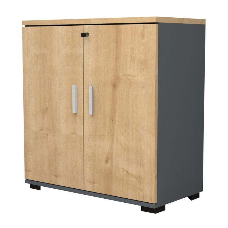 Ντουλάπι Γραφείου Επαγγελματικό Venturo Χρώμα Ανθρακί - Φυσικό Οξιάς 80x40x80