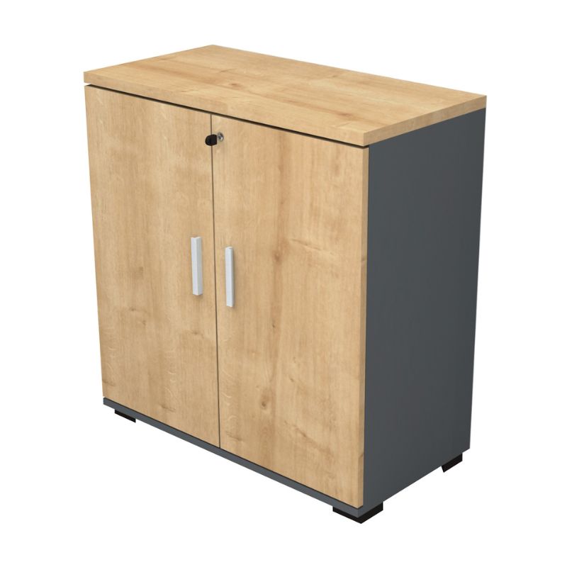 Ντουλάπι Γραφείου Επαγγελματικό Venturo Χρώμα Ανθρακί - Φυσικό Οξιάς 80x40x80