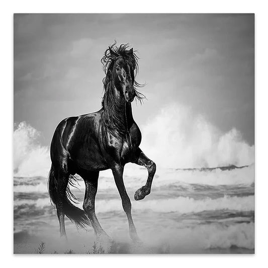 Πίνακας σε Καμβά Black Horse Ψηφιακής Εκτύπωσης 60x60x3