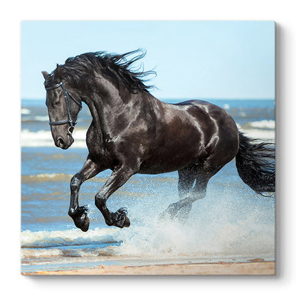Πίνακας σε Καμβά "Black Horse" Ψηφιακής Εκτύπωσης 60x60x3