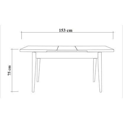 Τραπέζι Jemmy Επεκτεινόμενο Χρώμα Atlantic Pine 120/153x75x77