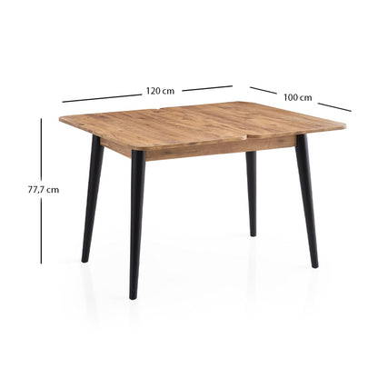 Τραπέζι Dolunay Επεκτεινόμενο Χρώμα Atlantic Pine - Μαύρο 100x60(120x100)x79,5