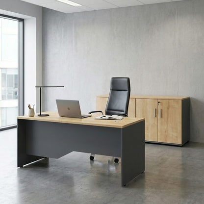 Ντουλάπι Γραφείου με Κλειδαριά Επαγγελματικό Venturo Χρώμα Ανθρακί - Φυσικό Οξιάς 160x40x80