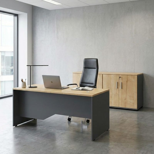 Ντουλάπι Γραφείου με Κλειδαριά Επαγγελματικό Venturo Χρώμα Ανθρακί - Φυσικό Οξιάς 160x40x80